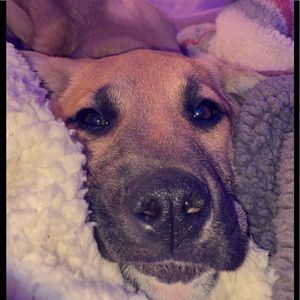 Meet your Posher, Brynne